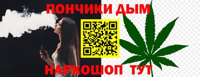 индика Лесосибирск