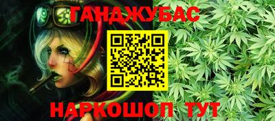 индика Лесосибирск