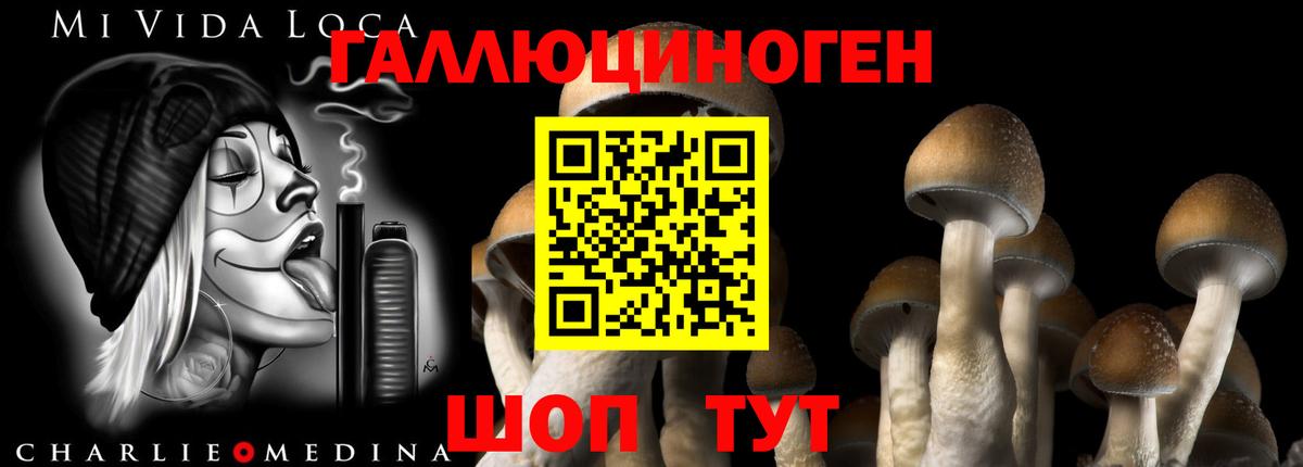 Псилоцибиновые грибы Cubensis  Галлюциногенные грибы MAGIC MUSHROOMS  Вход с VPN  сколько стоит  Электрогорск 